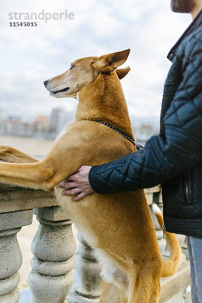 Der Mensch und sein Hund schauen in die Ferne