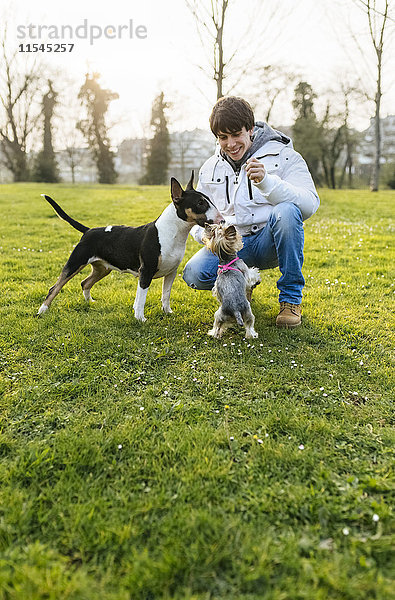Junger Mann spielt mit seinen Hunden auf einer Wiese