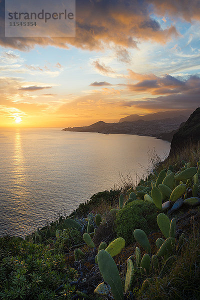Portugal  Madeira  Blick auf Funchal bei Sonnenuntergang