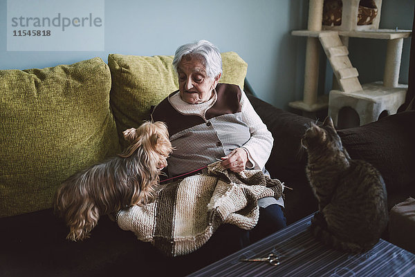 Seniorin sitzt auf der Kutsche ihres Wohnzimmers mit ihrem Yorkshire Terrier  während ihre Katze sie beobachtet.