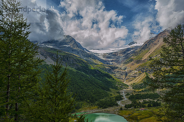 Schweiz  Berninagletscher im Sommer