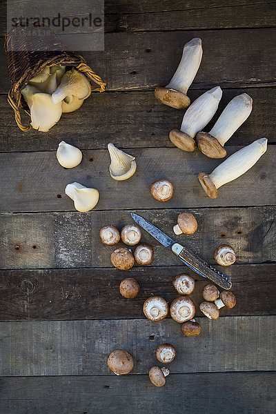 Verschiedene Pilzsorten und ein Taschenmesser auf Holz