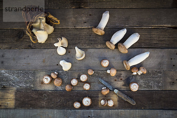 Verschiedene Pilzsorten und ein Taschenmesser auf Holz