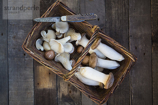 Wickerbasket mit verschiedenen Pilzsorten und einem Taschenmesser auf Holz