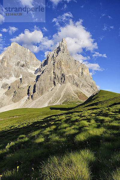 Italien  Trentino  Dolomiten  Passo Rolle  Berggruppe Pale di San Martino mit dem Berg Cimon della Pala