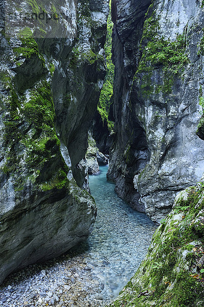 Slowenien  Tolmin  Triglav-Nationalpark  Tolmin-Schluchten