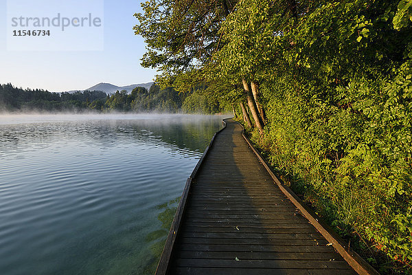 Slowenien  Gorenjska  Bled  Holzsteg am Bleder See