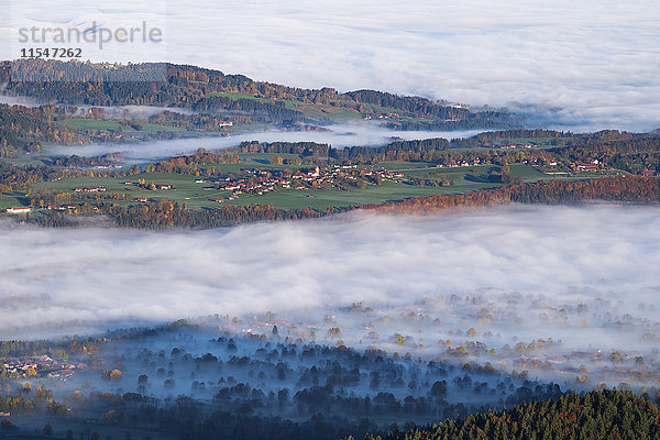Deutschland  Oberbayern  Wackersberg  Morgennebel im Isartal  Blick vom Geierstein aus