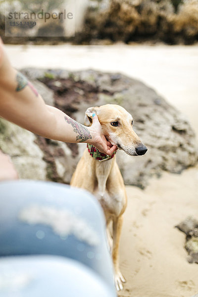 Spanien  Llanes  junge Frau streichelt ihren Windhund am Strand