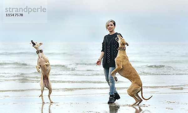 Spanien  Llanes  junge Frau spielt mit ihren Windhunden am Strand