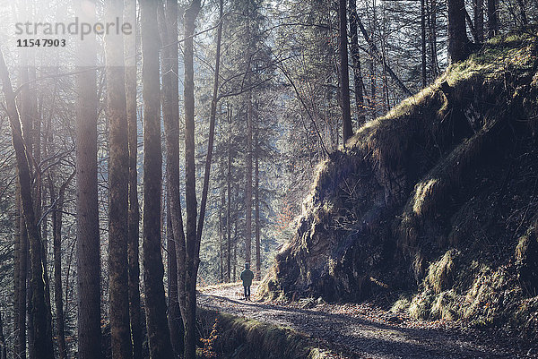 Deutschland  Berchtesgadener Land  Junge auf Waldweg im Winter
