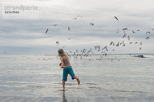 Frankreich  Bretagne  Finistere  Pointe de la Torche  Junge am Strand auf der Jagd nach Möwen