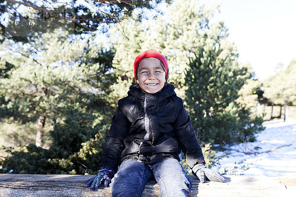 Porträt eines grinsenden kleinen Jungen auf einem Baumstamm sitzend