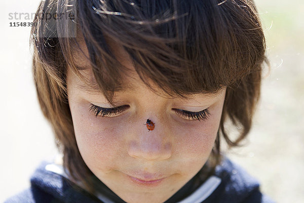 Porträt des kleinen Jungen mit Marienkäfer auf der Nase