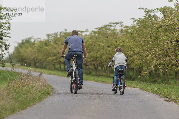 Rückansicht des kleinen Jungen und seines Vaters auf einer Fahrradtour