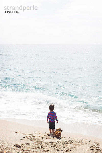 Rückansicht des kleinen Jungen  der neben seinem Hund am Strand steht und auf das Meer schaut.