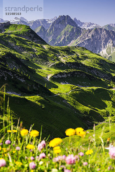 Deutschland  Bayern  Allgäu  Allgäuer Alpen  Blick auf das Hoefatsgebirge