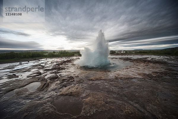 Island  Strokkur-Geysir