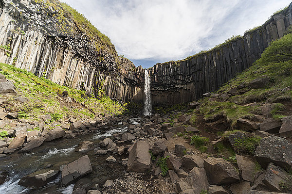 Island  Svartifoss Wasserfall