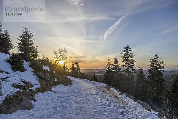 Deutschland  Sachsen-Anhalt  Nationalpark Harz  Weg im Winter