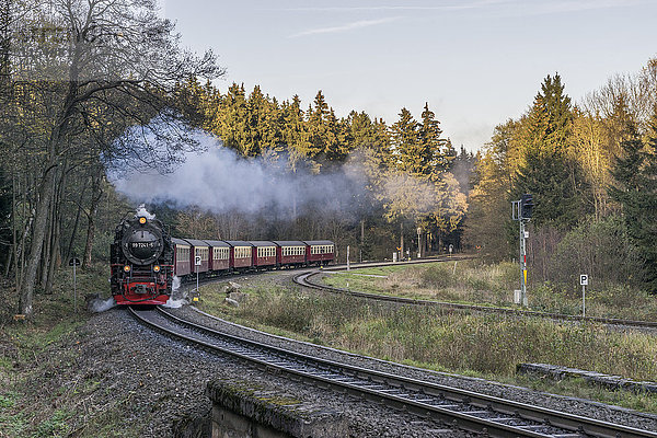 Deutschland  Sachsen-Anhalt  Nationalpark Harz  Schmalspurbahn Harz im Herbst
