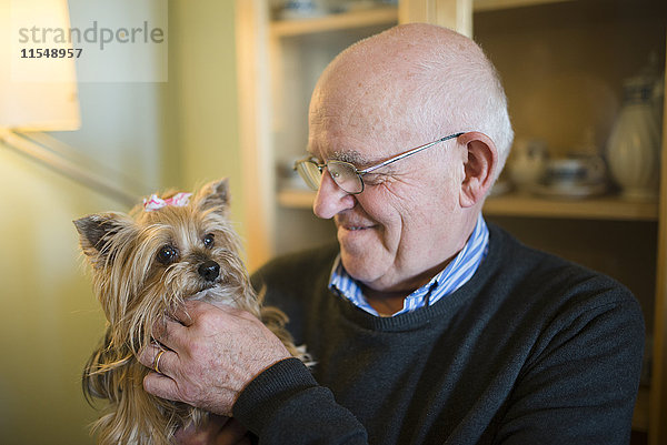 Senior Mann mit seinem Yorkshire Terrier zu Hause