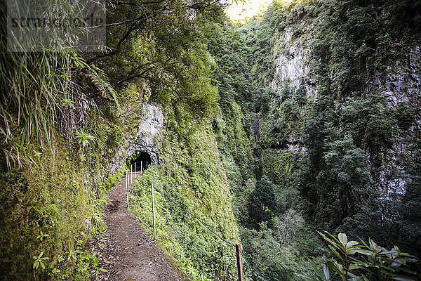 Portugal  Madeira  Levada  Tunnel