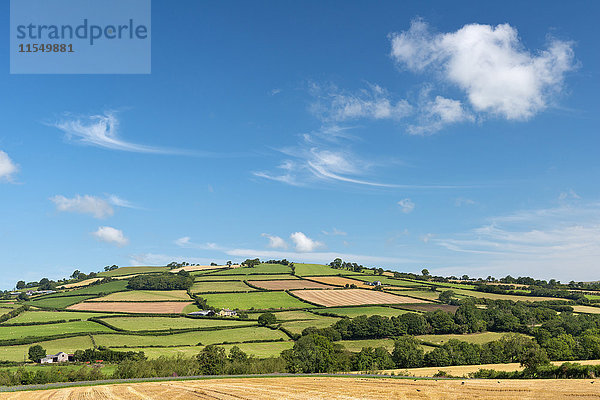 UK  Wales  Felder und Wiesen bei Brecon