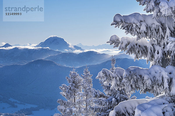 Deutschland  Oberbayern  Blick vom Brauneck mit schneebedeckten Fichten nach Guffert