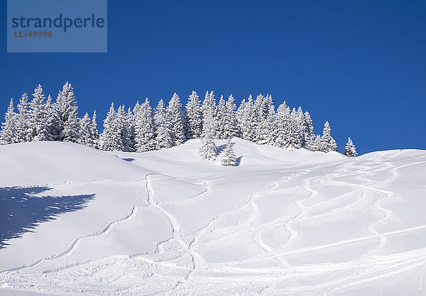 Deutschland  Oberbayern  Lenggries  Skigebiet Brauneck mit Skipisten am Hang