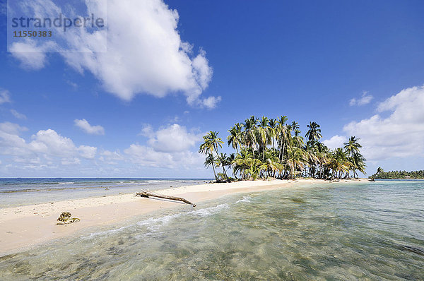 Panama  San Blas Inseln  Wüsteninsel mit Palmen