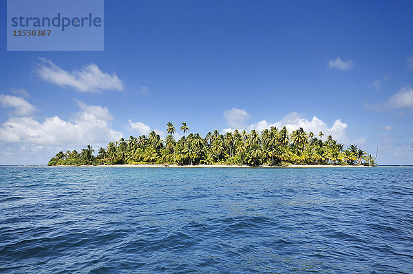 Panama  San Blas Inseln  Cayos Los Grullos