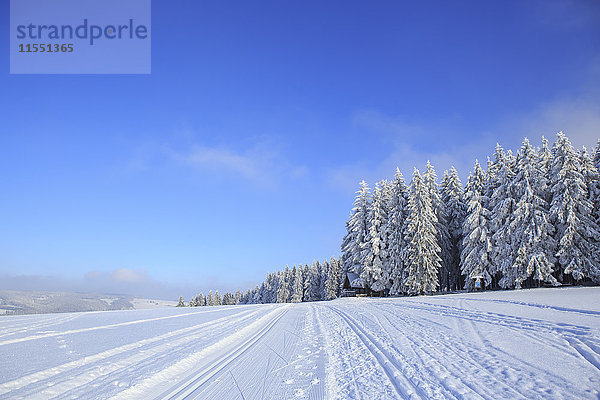 Deutschland  Thüringen  Winterwald mit Skipisten bei Masserberg