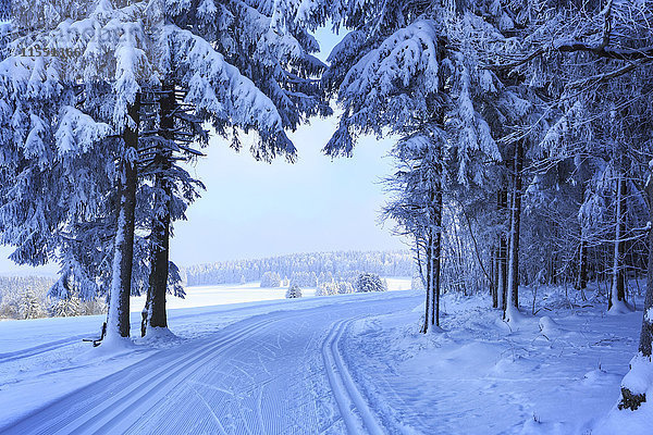 Deutschland  Thüringen  Winterwald mit Skipisten bei Masserberg