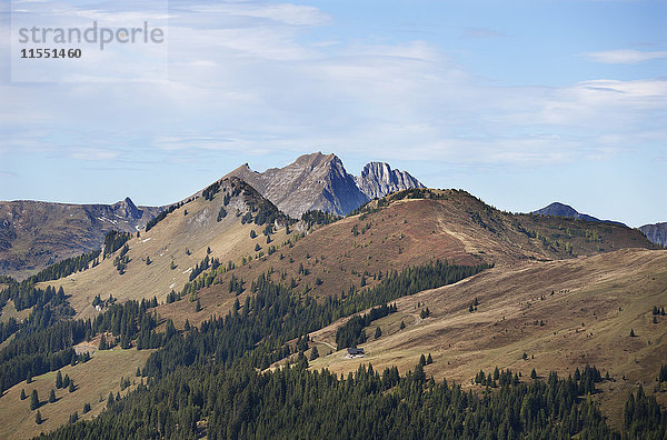 Österreich  Pongau  Großarltal  Blick ins Ellmautal  Radstätter Tauern