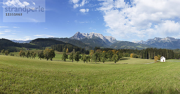 Österreich  Salzburger Land  Pongau  Werfenweng  Alm  Hochkönig im Hintergrund