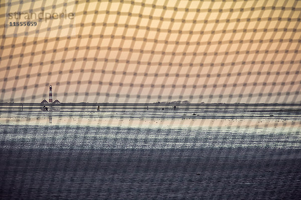 Blick auf ein Tornetz  Leuchtturm Westerhever  Sankt Peter-Ording  Schleswig-Holstein  Deutschland  Europa