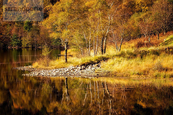 Herbst in den schottischen Highlands  Schottland  Vereinigtes Königreich  Europa