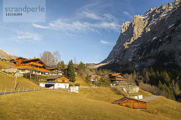 Das Wetterhorn  Grindelwald  Jungfrau Region  Berner Oberland  Schweizer Alpen  Schweiz  Europa