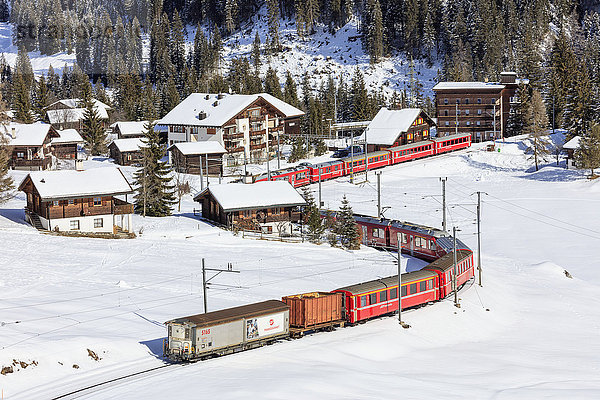 Roter Zug der Rhätischen Bahn fährt in der verschneiten Landschaft von Arosa  Bezirk Plessur  Kanton Graubünden  Schweiz  Europa
