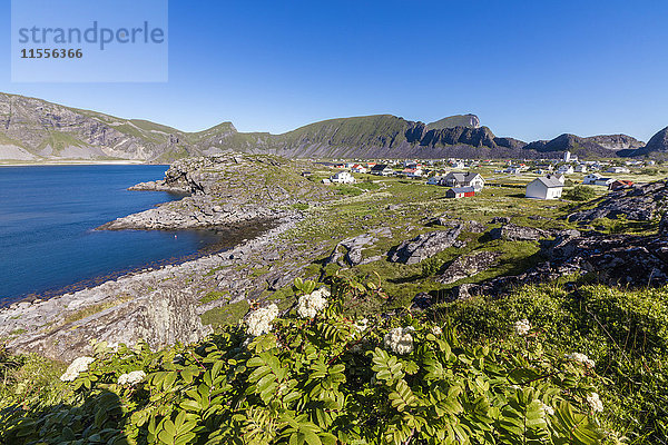 Grüne Wiesen umrahmen das vom Meer umgebene Dorf Sorland  Insel Vaeroy  Bezirk Nordland  Schärengarten der Lofoten  Norwegen  Skandinavien  Europa