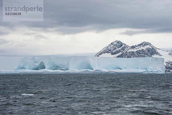 Schwimmender Eisberg auf der Elefanteninsel  Südliche Shetlandinseln  Antarktis  Polarregionen