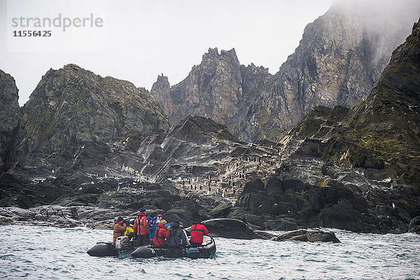 Touristen auf einem Zodiac bei der Beobachtung einer Delfinkolonie  Elefanteninsel  Südliche Shetlandinseln  Antarktis  Polargebiete