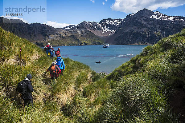 Touristen wandern in Godthul  Südgeorgien  Antarktis  Polarregionen