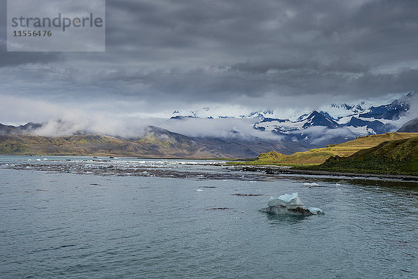 Die Bucht von Grytviken  Südgeorgien  Antarktis  Polarregionen