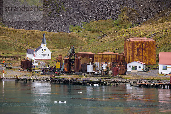 Ehemalige Walfangstation Grytviken  Südgeorgien  Antarktis