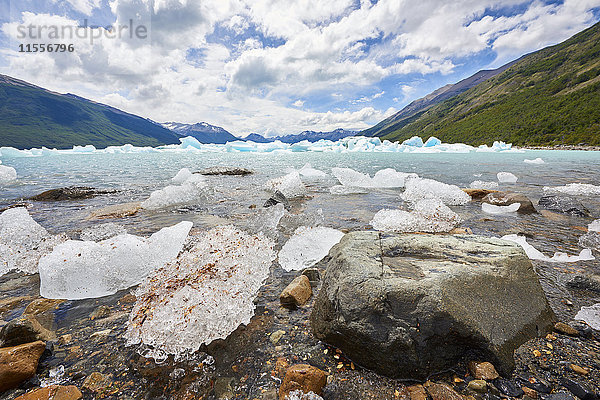 Eisblöcke treiben in einem der Zuflüsse des Lago Argentino  neben dem Perito-Moreno-Gletscher  und werden an den Felsen angeschwemmt  Nationalpark Los Glaciares  UNESCO-Weltkulturerbe  Patagonien  Argentinien  Südamerika