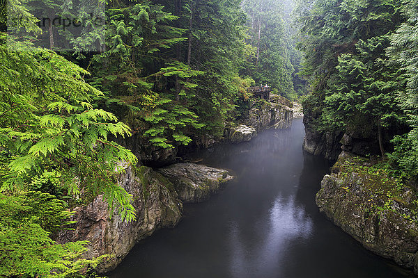 Capilano River Regional Park  Vancouver  British Columbia  Kanada  Nordamerika