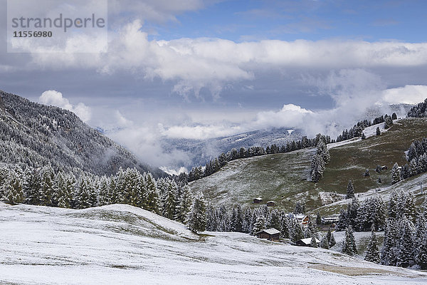 Früher Schnee in der Nähe der Seiser Alm in den Dolomiten  Trentino-Südtirol  Italien  Europa