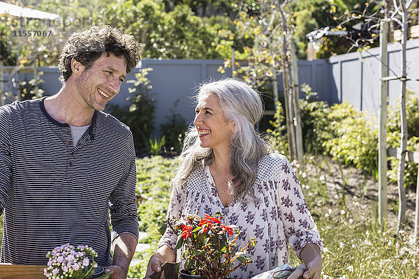 Glückliches Paar mit Topfblumen  Gartenarbeit im sonnigen Garten